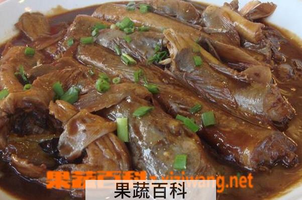 果蔬百科海鲶鱼