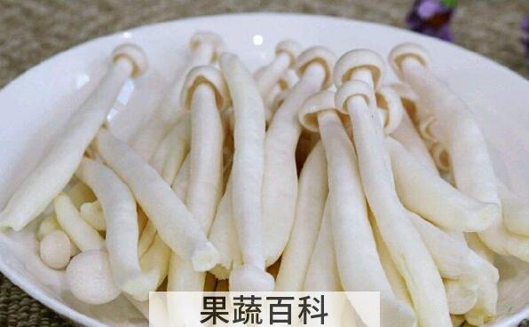 海鲜菇的功效与作用 海鲜菇的好处