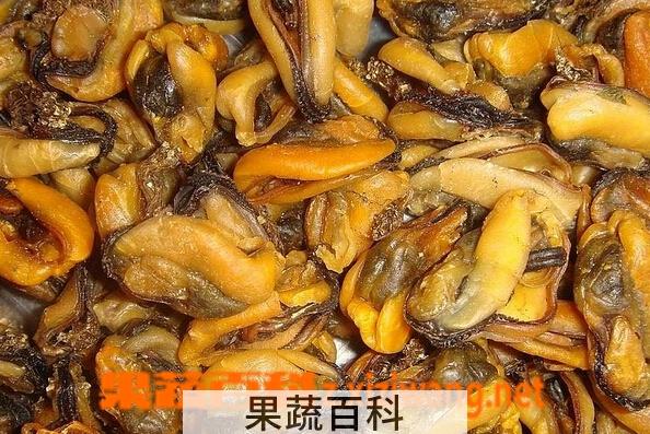 果蔬百科淡菜干