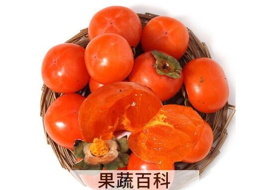 硬柿子怎么做 硬柿子可以吃吗