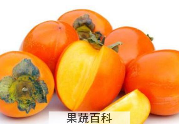 硬柿子的功效与作用