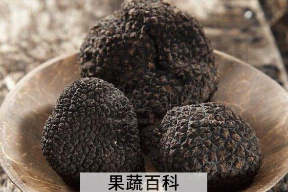 猪拱菌泡酒的功效和作用