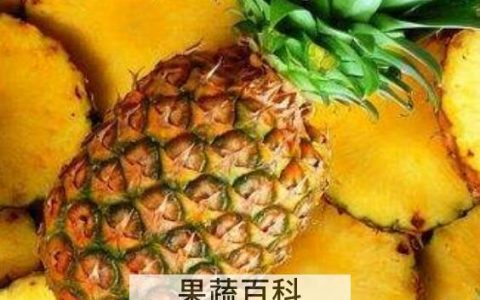 金菠萝与普通菠萝区别 金菠萝怎么挑选