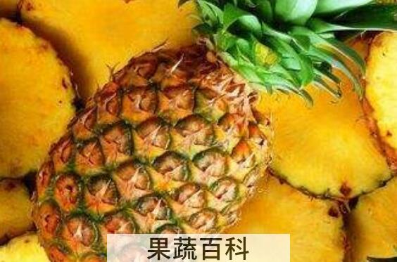 金菠萝与普通菠萝区别 金菠萝怎么挑选