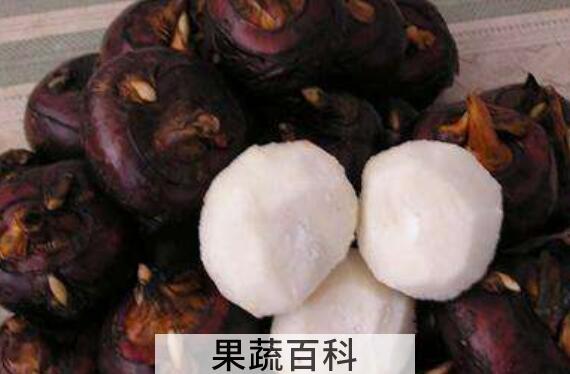 马蹄的功效与作用