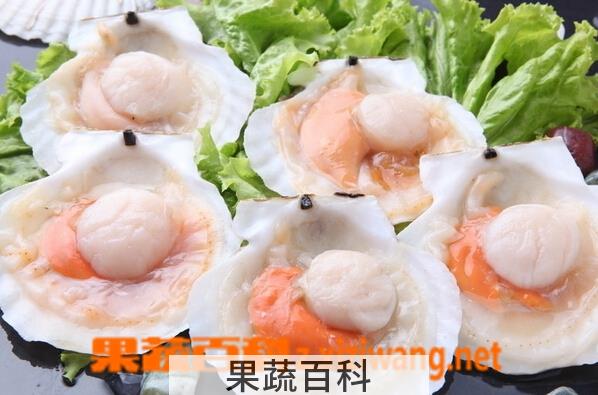 果蔬百科扇贝