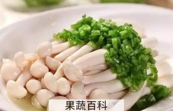白玉菇的功效与作用 吃白玉菇的好处