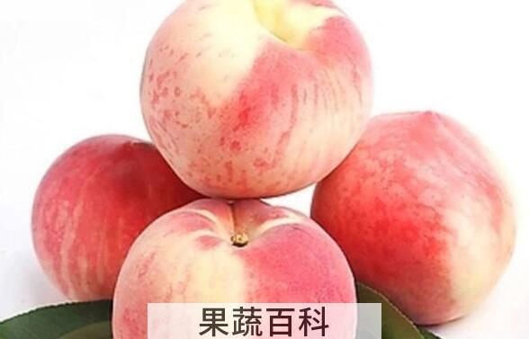 水蜜桃的功效与作用及副作用