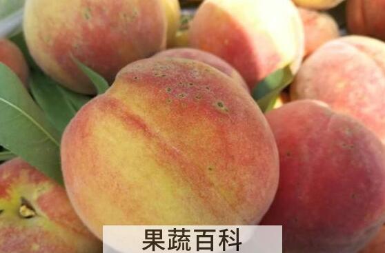 红皮黄桃和黄皮黄桃区别 吃黄桃的好处