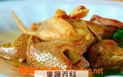 鸽子的营养价值
