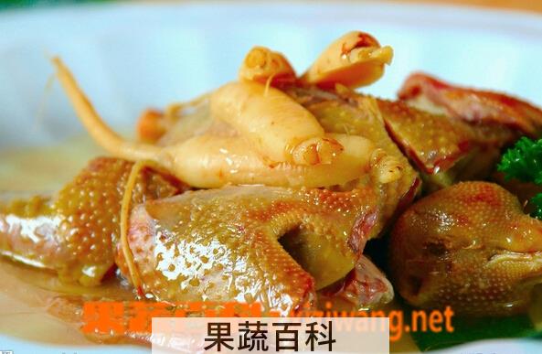 果蔬百科鸽子的营养价值