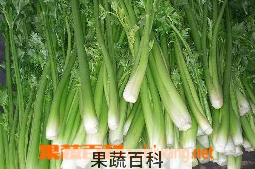 果蔬百科 如何快速去除口臭