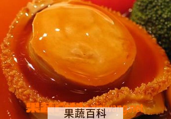 果蔬百科鲍鱼