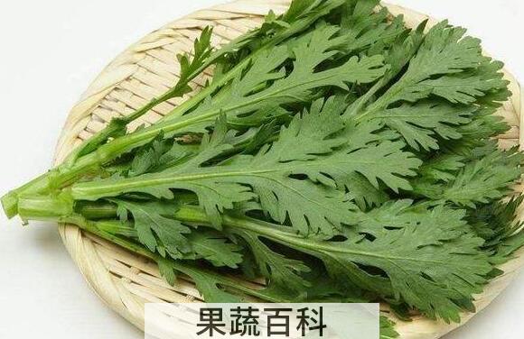 波波蒿的功效与作用