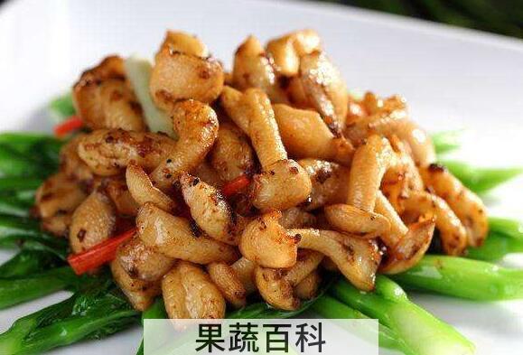白玉菇怎么吃 白玉菇的食用方法