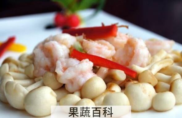 白玉菇怎么吃 白玉菇的食用方法