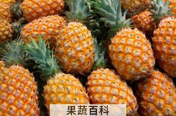 菠萝和凤梨的区别 吃菠萝的好处