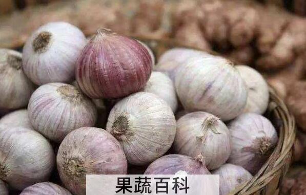 独蒜的功效与作用 独蒜的禁忌