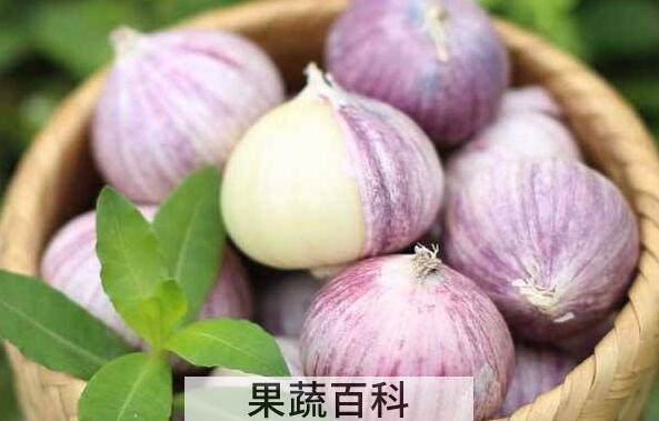 独蒜的功效与作用 独蒜的禁忌