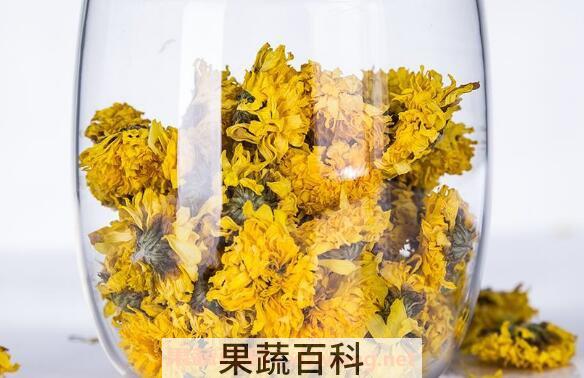 怀菊花的功效与作用 喝怀菊花的禁忌