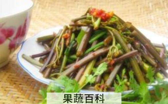 野鸡膀子菜怎么做好吃 野鸡膀子菜的常见吃法