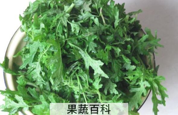 白蒿的功效与作用及食用方法