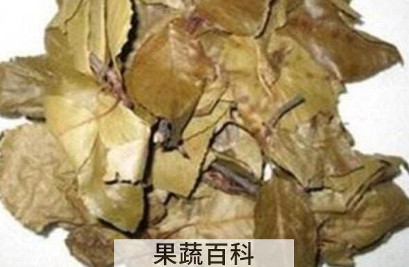 山楂叶的危害 山楂叶泡水的禁忌