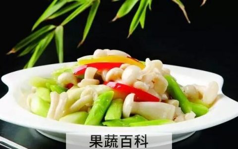 白灵菇的功效与作用 吃白灵菇的好处