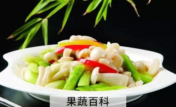 白灵菇的功效与作用 吃白灵菇的好处