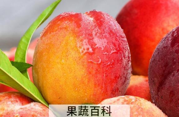 水蜜桃和毛桃的区别 吃水蜜桃的好处