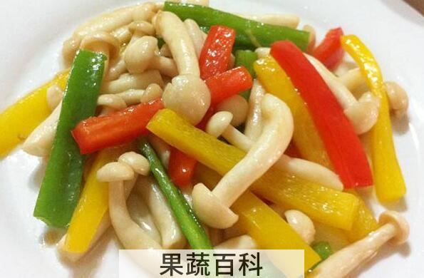 白玉菇怎么吃 白玉菇和什么炒好吃