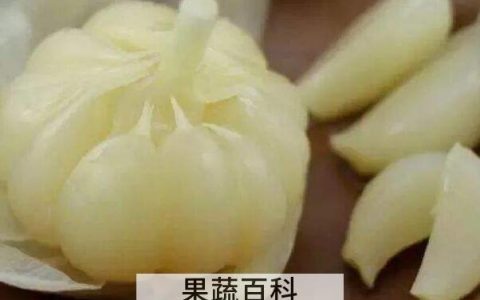 糖蒜如何腌制 正宗糖蒜的腌制方法
