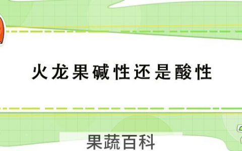 火龙果碱性还是酸性