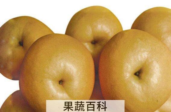 大黄梨的功效与作用 大黄梨怎么吃