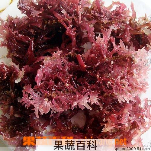 果蔬百科石花菜