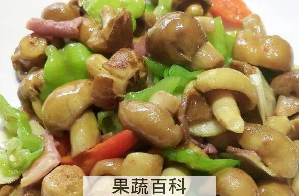 青头菌的功效与作用 青头菌怎么吃