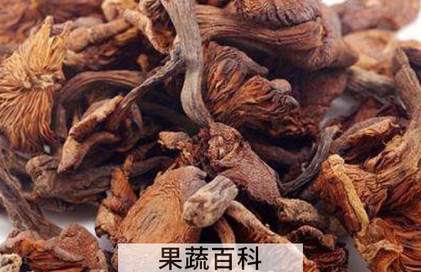 榛蘑的功效与作用 吃榛蘑的好处有哪些