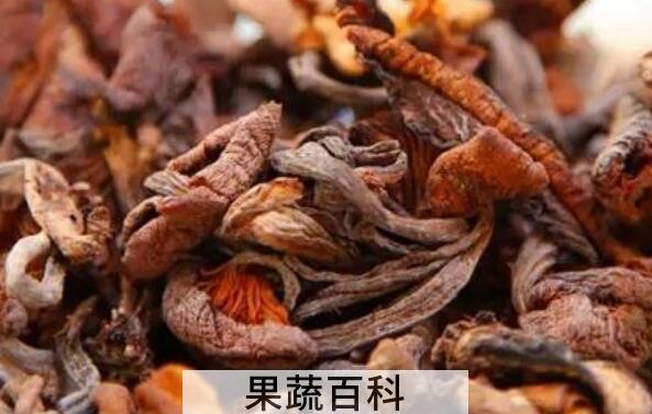 榛蘑的功效与作用 吃榛蘑的好处有哪些
