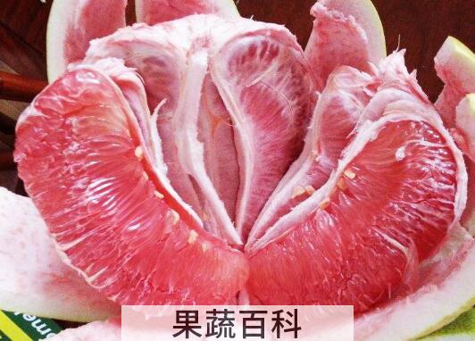 红柚子的功效与作用及食用方法