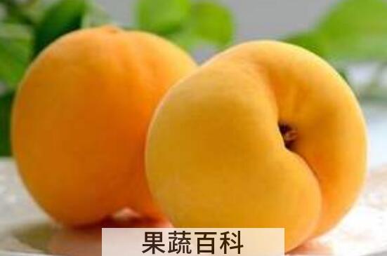新鲜黄桃的功效与作用