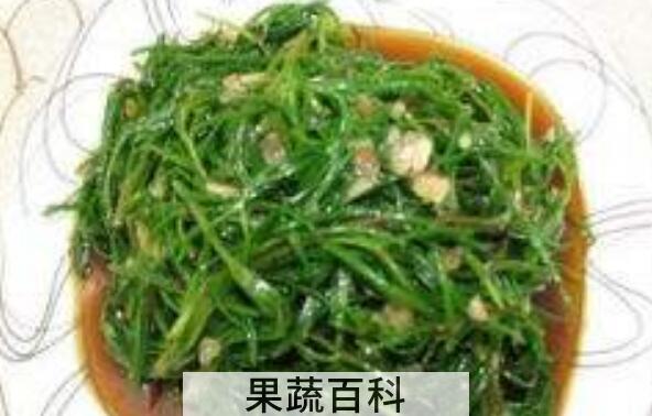 黄须菜怎么做好吃 黄须菜的做法教程