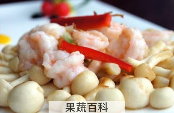 白灵菇不能与什么吃 吃白灵菇的禁忌