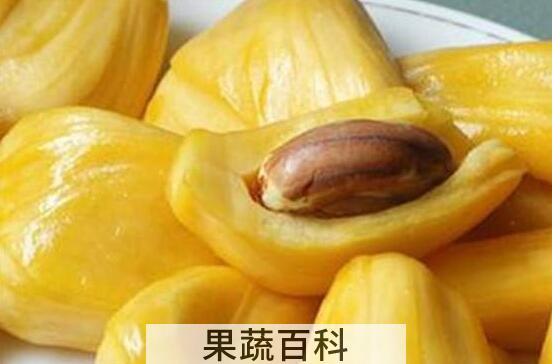 菠萝蜜怎么切 菠萝蜜怎么剥皮小窍门