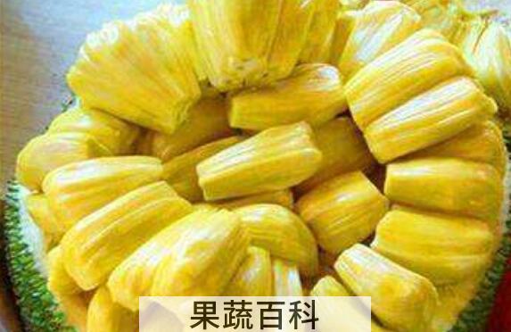 菠萝蜜的功效与作用 吃菠萝蜜的禁忌