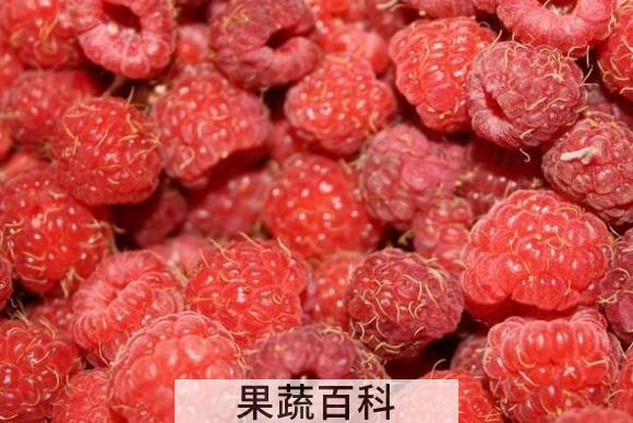 覆盆子泡水喝的功效
