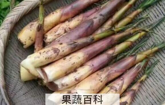 苦笋的功效与作用 苦笋的禁忌