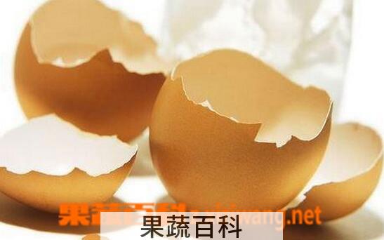 果蔬百科鸡蛋壳的用处