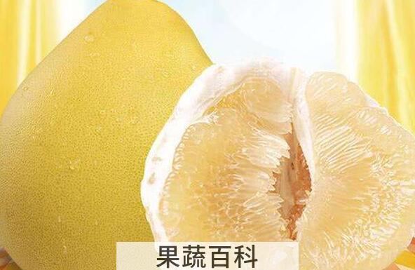 柚子是清火还是上火的 吃柚子的好处与功效