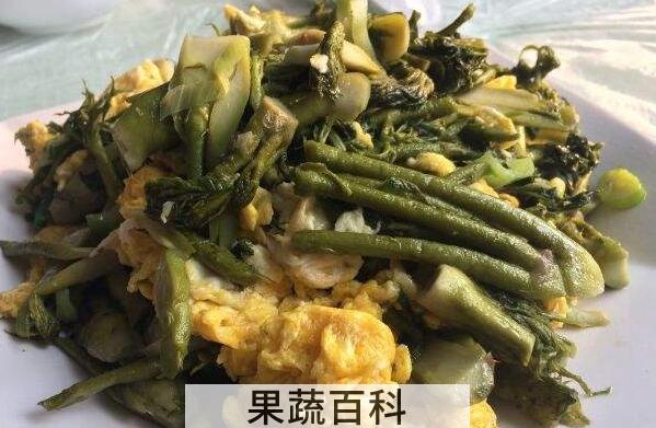 苦乐芽的作用与功效