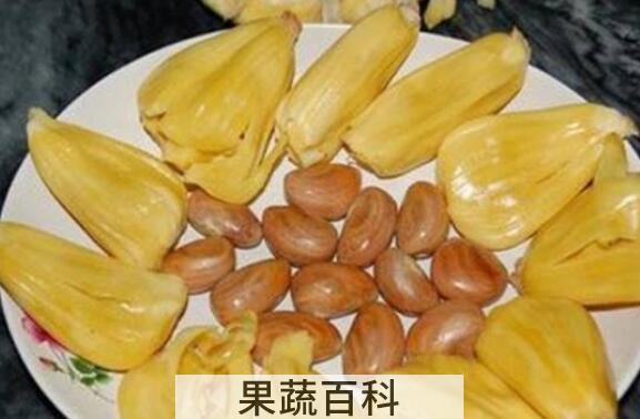 菠萝蜜的核能吃吗 菠萝蜜的核怎么吃好